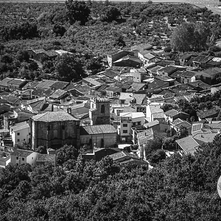 At La Abuela Antonia- Ca Felisa * Torre de Don Miguel