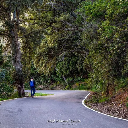 Appartement At La Abuela Antonia- Ca Felisa