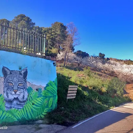 At La Abuela Antonia- Ca Felisa Torre de Don Miguel
